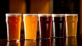 Beer mix in pub. Dark, light, barley, lager and ale in glasses on brown wooden bar counter Royalty Free Stock Photo