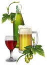 Beer mug, bottle, hops and a glass of wine Royalty Free Stock Photo