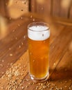 Beer mug, glass with flying malted barley Royalty Free Stock Photo