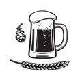 Beer mug, hop cone and barley or wheat ear. Black and white hand drawn vector illustration isolated on white background Royalty Free Stock Photo
