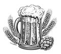 Beer mug, hops and wheat. Brewery or pub, hand drawn sketch illustration