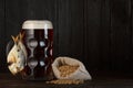 Beer mug with smoked salty fish snack Royalty Free Stock Photo