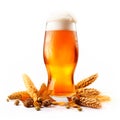 Beer in mug with wheat ears spikelets on white background. Mugs with drink like Ipa, Pale Ale, Pilsner, Porter or Stout Royalty Free Stock Photo