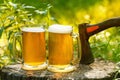 Beer mugs cheers on natural background. Royalty Free Stock Photo