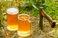 Beer mugs cheers on natural background. Royalty Free Stock Photo