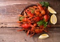 Beer party. Still life with crayfish crawfish on old wooden rust