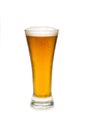 Beer In a Pilsner Glass