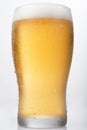 Isolated Beer Pint on a White Background