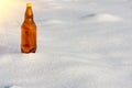 Beer in plastic bottles on snow Royalty Free Stock Photo