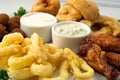 The beer plate with spicy chicken wings, calamari rings, fries onion rings, cheese balls, breaded, tartar sauce and garlic