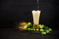 Beer pouring into a glass. Glass of beer with green hops and wheat ears on dark wooden table. Still life Royalty Free Stock Photo