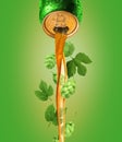 Beer pours from a metal bottle with fresh hop cones on a green background Royalty Free Stock Photo