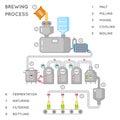 Beer process. Brewing infographic or brewery vector illustration