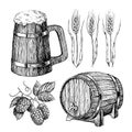 Beer set. Alcohol beverage hand drawn illustration.