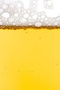 Beer shot Royalty Free Stock Photo