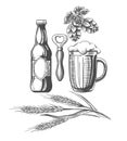 Beer sketch elements set