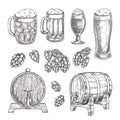 Beer sketch vector illustration. Glasses, mugs, hops, barrel hand drawn isolated elements for pub and bar design