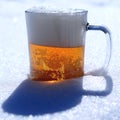 Beer snow sun ight spring day Royalty Free Stock Photo