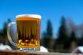 Beer snow sun ight spring day Royalty Free Stock Photo