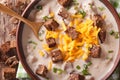 Beer soup with bacon, cheddar cheese and croutons macro. Horizon