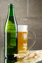 Beer still life Royalty Free Stock Photo