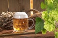 Beer Royalty Free Stock Photo