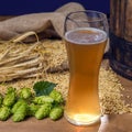 Beer. Still life with Vintage beer barrel and glass light beer. Fresh amber beer concept. Green hop and gold barley on wooden Royalty Free Stock Photo