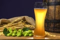 Beer. Still life with Vintage beer barrel and glass light beer. Fresh amber beer concept. Green hop and gold barley on wooden Royalty Free Stock Photo