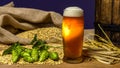 Beer. Still life with Vintage beer barrel and glass light beer. Fresh amber beer concept. Green hop and gold barley on wooden Royalty Free Stock Photo