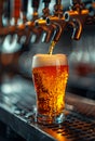 Beer tap pouring draught lager beer in glass Royalty Free Stock Photo