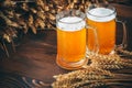 Beer Royalty Free Stock Photo