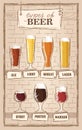 Beer types. A visual guide to types of beer. Various types of beer in recommended glasses Royalty Free Stock Photo