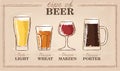 Beer types. A visual guide to types of beer. Various types of beer in recommended glasses