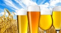 Beer varieties in summer Royalty Free Stock Photo