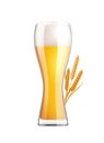 Beer With Wheat Composition Royalty Free Stock Photo