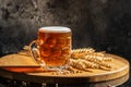 beer, wheat ears on a wooden board. banner, menu, recipe place for text Royalty Free Stock Photo
