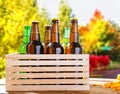 Beer on wooden table with blurred park on background,coloured bottles, food and drink concept,selective focus,copy space Royalty Free Stock Photo