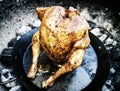 Beercan Chicken Royalty Free Stock Photo