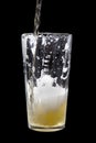 Beerglass. Royalty Free Stock Photo