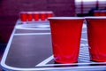 Beerpong Royalty Free Stock Photo