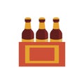 Beers bottles in pack flat style icon