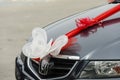 Beersheba, Israel. March 24, White butterfly and scarlet bow on a black wedding car