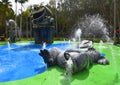 Water playground for kids with big frog sculptures