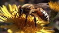 Bees are also common during the summer months. Generative AI