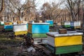 Freeze on the ground on apiary in winter. Warm days in December. Putting hives for transfer to winter. Freeze on apiary with honey