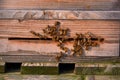 bees arrive in beehive Royalty Free Stock Photo