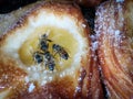 bees attracted by the sweet smell of the confessions of a pastry shop