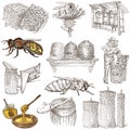 Bees, beekeeping and honey - hand drawn illustrations