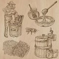 Bees, beekeeping and honey - hand drawn vector pack 11