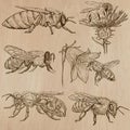 Bees, beekeeping and honey - hand drawn vector pack 3